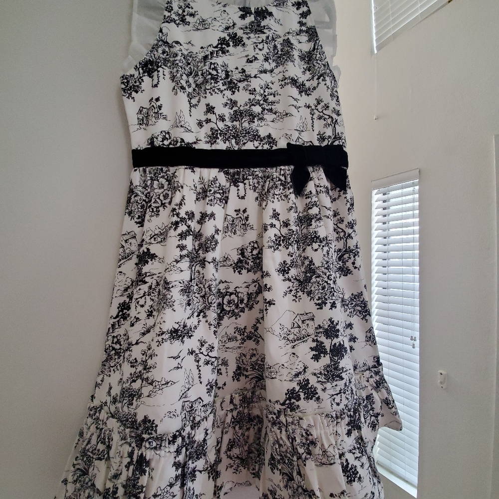 Janie and Jack Toile Dress